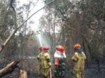 IMG-20260910-WA0203